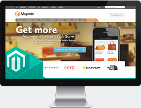 india magento developer
