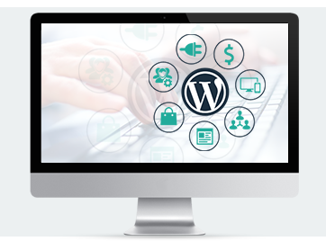India WordPress developer